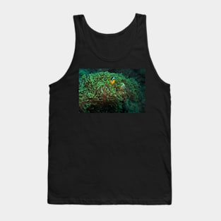 nemo fish Tank Top